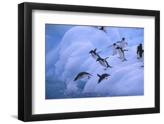 Premium Photographic Print, , large