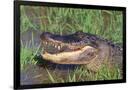 Gramercy Black