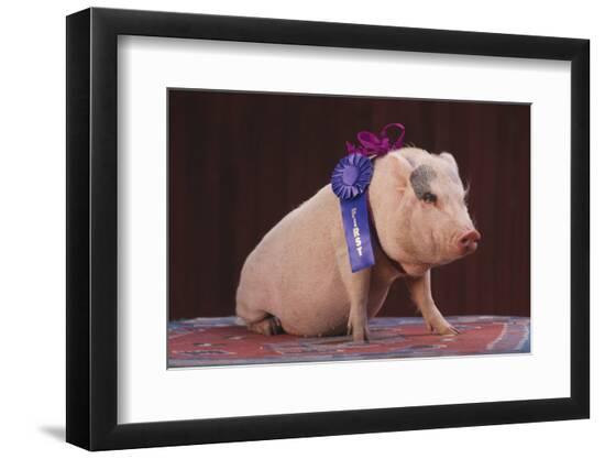 Premium Photographic Print, , large