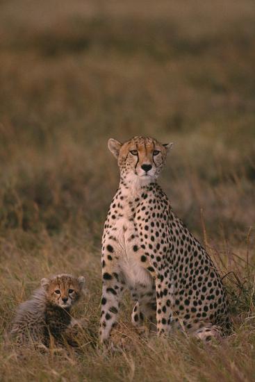 Premium Photographic Print, , large