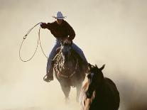 Cowgirl Lassoing on the Range-DLILLC-Photographic Print