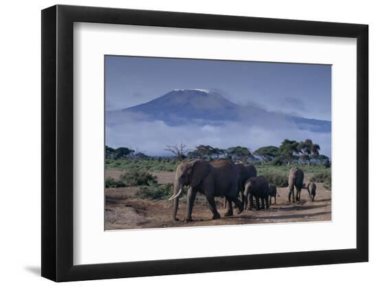 Premium Photographic Print, , large