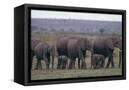 Canvas Black