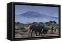 Canvas Black