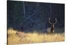 Stretched Canvas