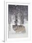 Gramercy White