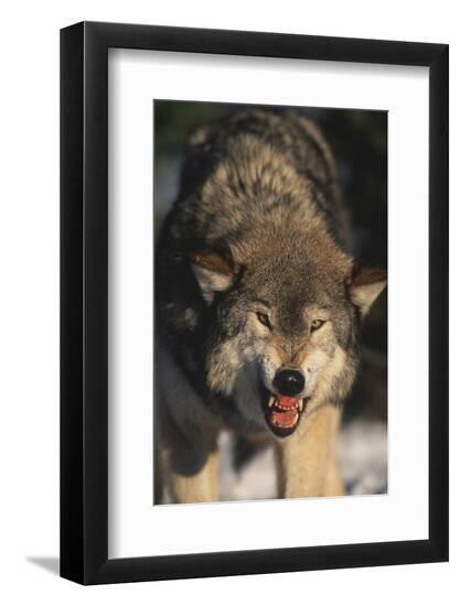 Premium Photographic Print, , large