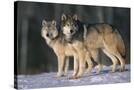 Stretched Canvas