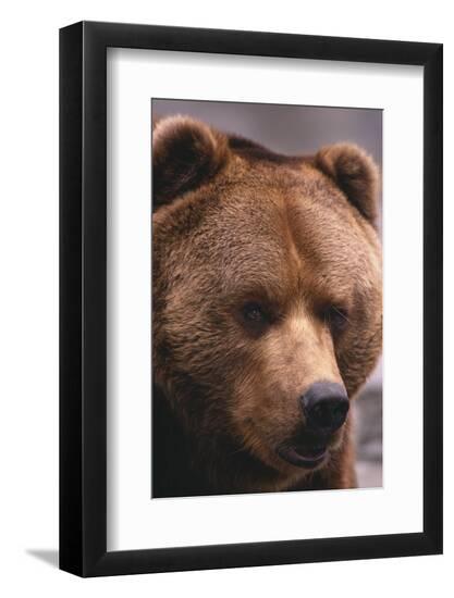 Premium Photographic Print, , large