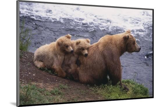 Photographic Print, , large