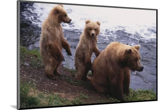 Photographic Print, , large