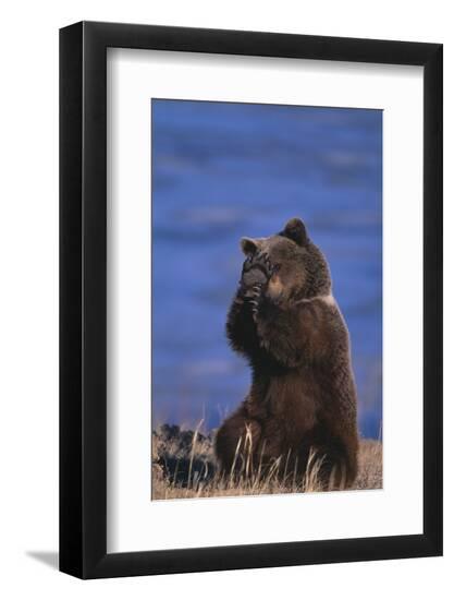 Premium Photographic Print, , large