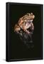 Essential Black