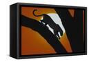 Canvas Black