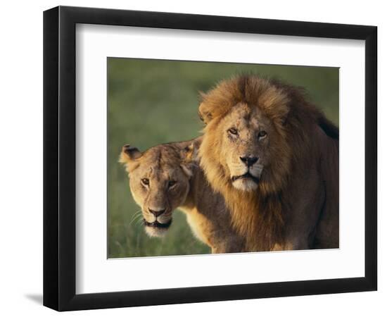 Premium Photographic Print, , large
