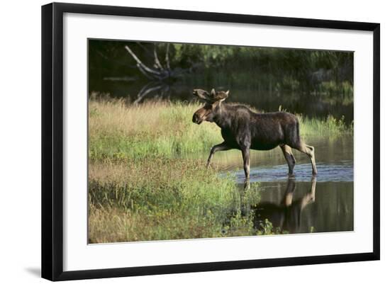 Photographic Print, , large