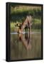 Essential Black