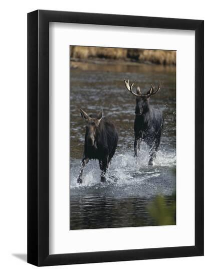 Premium Photographic Print, , large