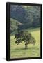 Essential Black