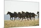 Wood Mount