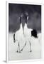 Gramercy White