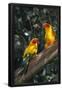Essential Black