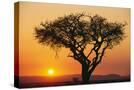 Stretched Canvas