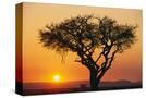 Stretched Canvas