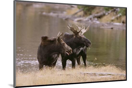 Photographic Print, , large