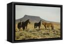 Canvas Black
