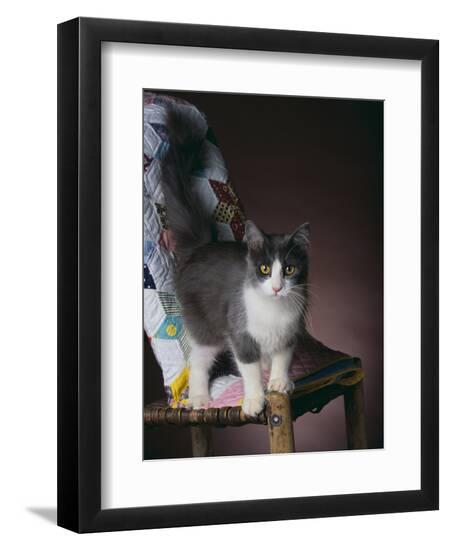 Premium Photographic Print, , large