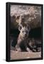 Essential Black