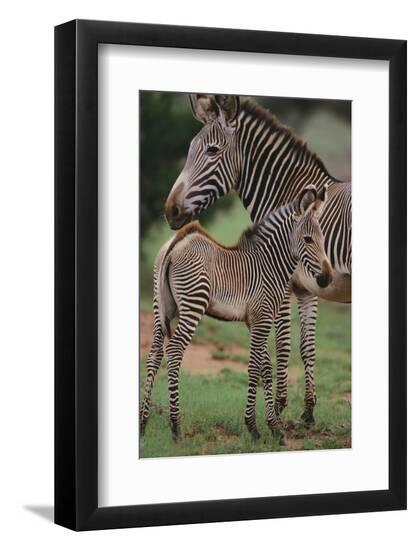 Premium Photographic Print, , large
