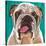 Dlynn's Dogs - Bosco-Dlynn Roll-Stretched Canvas