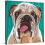 Dlynn's Dogs - Bosco-Dlynn Roll-Stretched Canvas