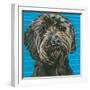 Dlynn's Dogs - Mini-Dlynn Roll-Framed Art Print