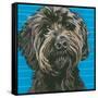 Dlynn's Dogs - Mini-Dlynn Roll-Framed Stretched Canvas