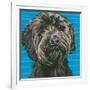 Dlynn's Dogs - Mini-Dlynn Roll-Framed Art Print