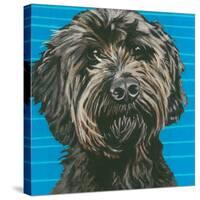 Dlynn's Dogs - Mini-Dlynn Roll-Stretched Canvas