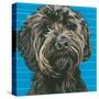 Dlynn's Dogs - Mini-Dlynn Roll-Stretched Canvas