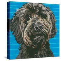 Dlynn's Dogs - Mini-Dlynn Roll-Stretched Canvas