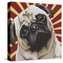 Dlynn's Dogs - Puggins-Dlynn Roll-Stretched Canvas