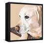 Dlynn's Dogs - Shell-Dlynn Roll-Framed Stretched Canvas