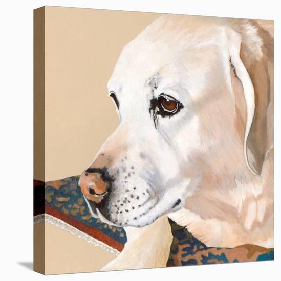 Dlynn's Dogs - Shell-Dlynn Roll-Stretched Canvas