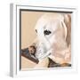 Dlynn's Dogs - Shell-Dlynn Roll-Framed Art Print