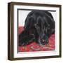 Dlynn's Dogs - Tallulah-Dlynn Roll-Framed Art Print