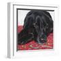 Dlynn's Dogs - Tallulah-Dlynn Roll-Framed Art Print