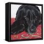 Dlynn's Dogs - Tallulah-Dlynn Roll-Framed Stretched Canvas