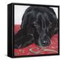 Dlynn's Dogs - Tallulah-Dlynn Roll-Framed Stretched Canvas