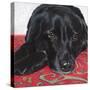 Dlynn's Dogs - Tallulah-Dlynn Roll-Stretched Canvas